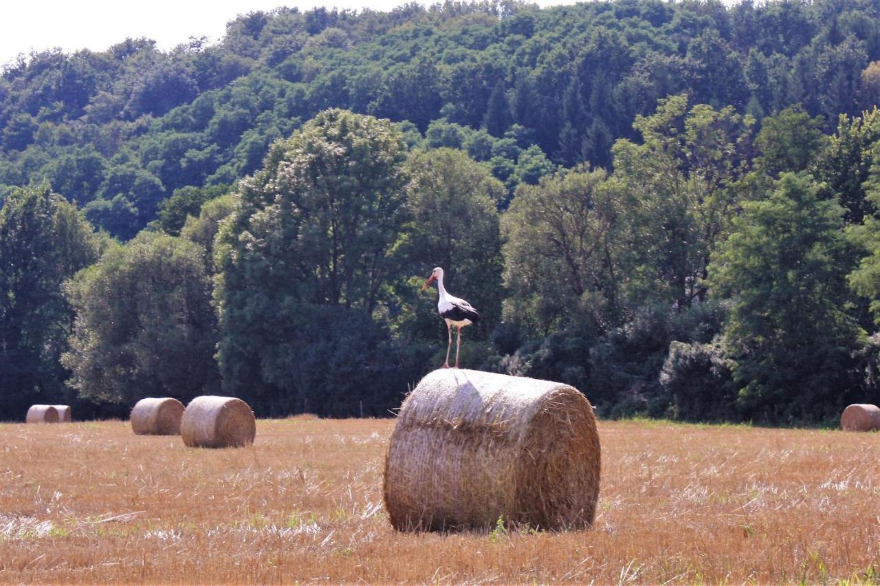 Alsoszolnok Naturpark Vendeghaz מראה חיצוני תמונה